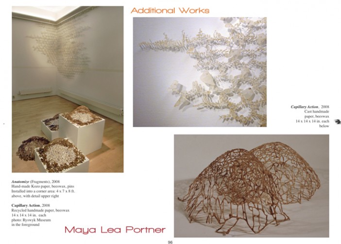 10 slide show Maya Portner
